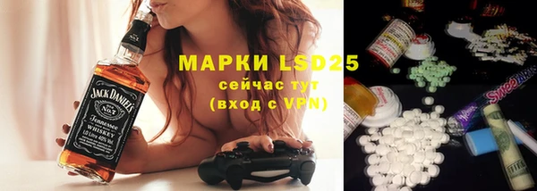 прущие грибы Алексин