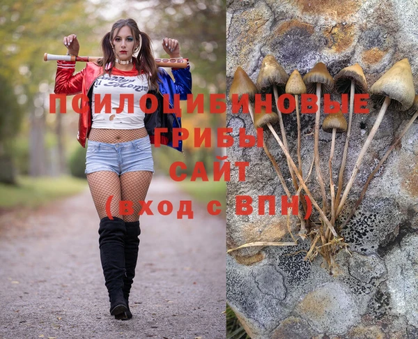 бошки Алзамай