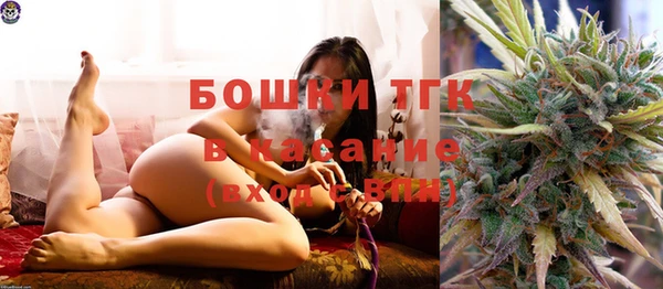 прущие грибы Алексин